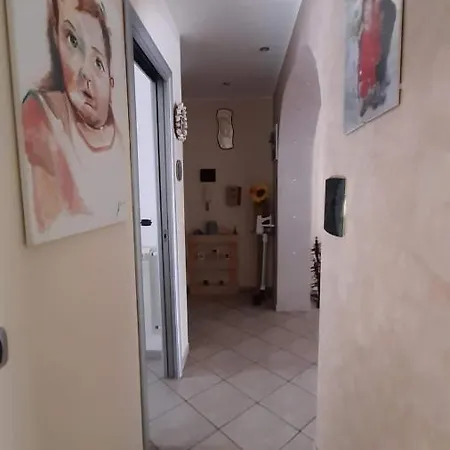 Softy House